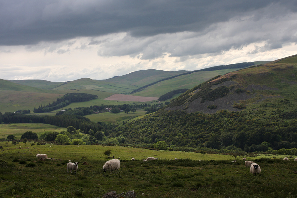 img_9678_sheep_and_view_towards_the_bell