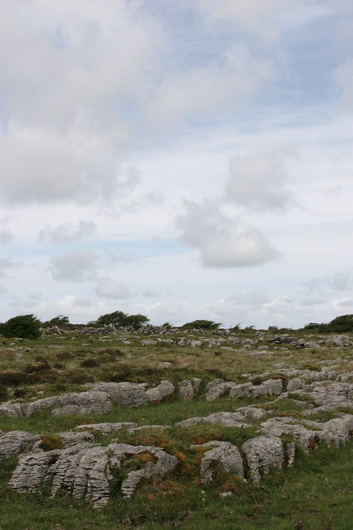 1763_morphing_from_bog_to_stone_burren