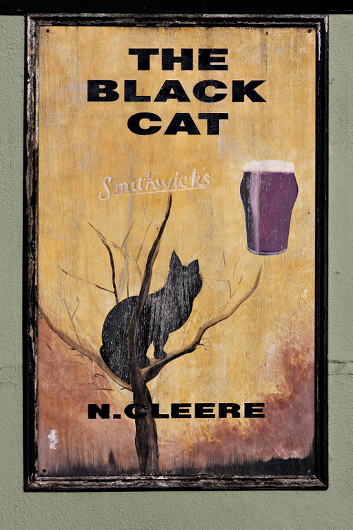 img_6154_kilkenny_the_black_cat