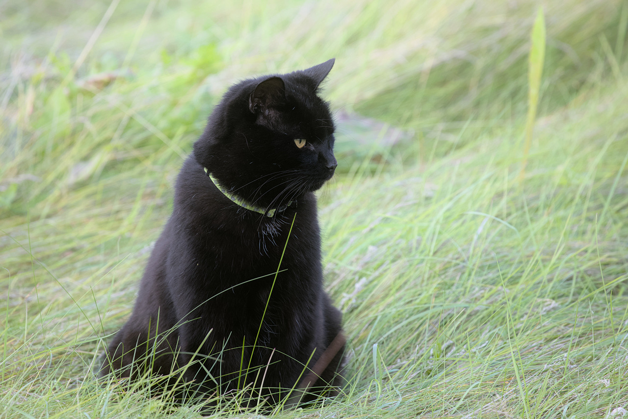 img_0069_pori_kissa.jpg 