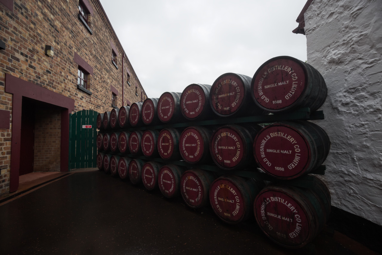 img_4785_bushmills_distillery_barrels.jpg 
