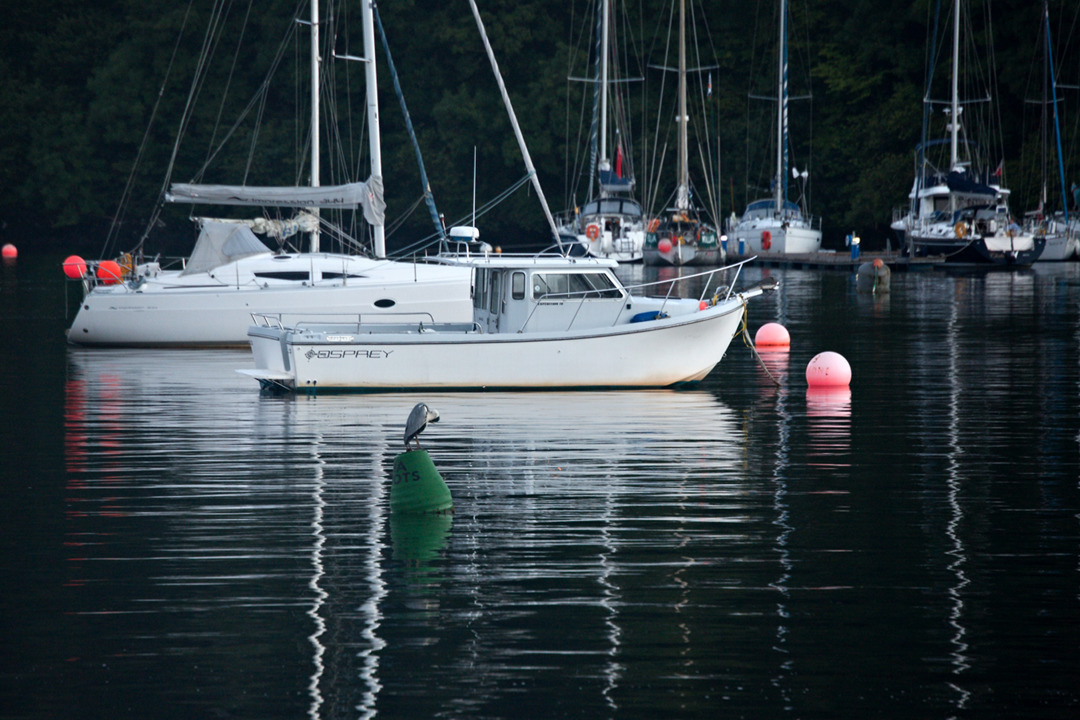 img_9622_tobermory_heron_in_the_harbour